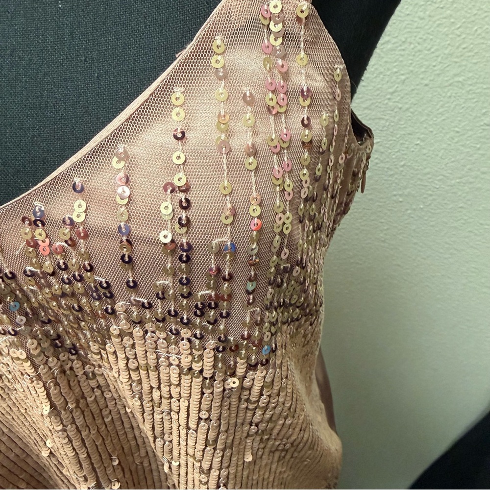 NWT White House Black Market Amelie Sequin Cami Small Antique Blush Tank - Picture 4 of 13
